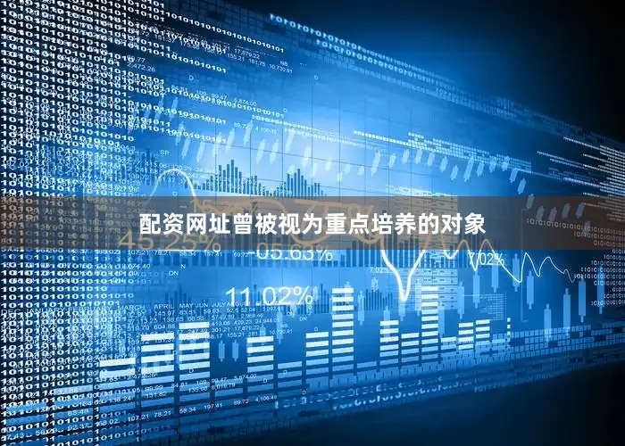 配资网址曾被视为重点培养的对象