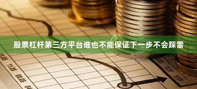 股票杠杆第三方平台谁也不能保证下一步不会踩雷